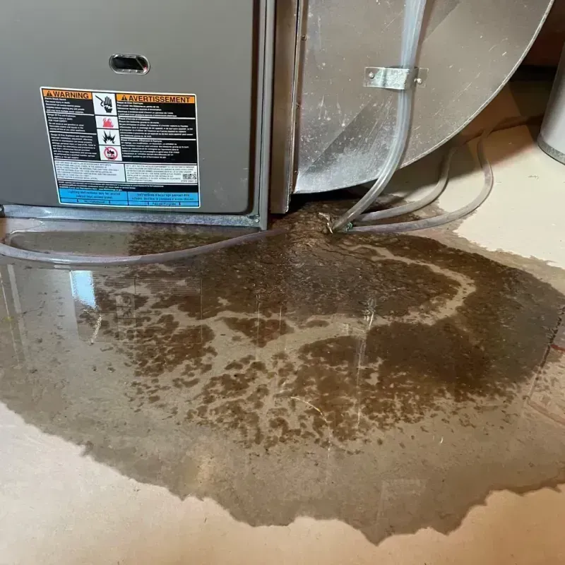 Appliance Leak Cleanup in Alexandria, KY